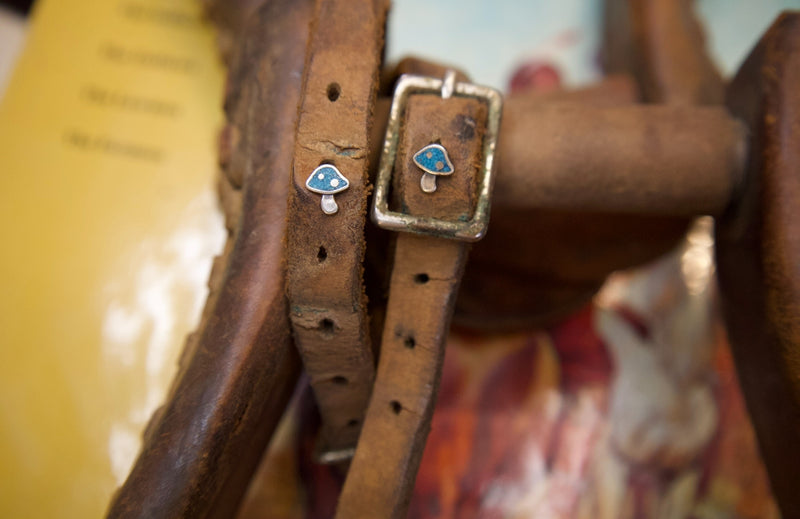 Western Sterling Silver Earrings