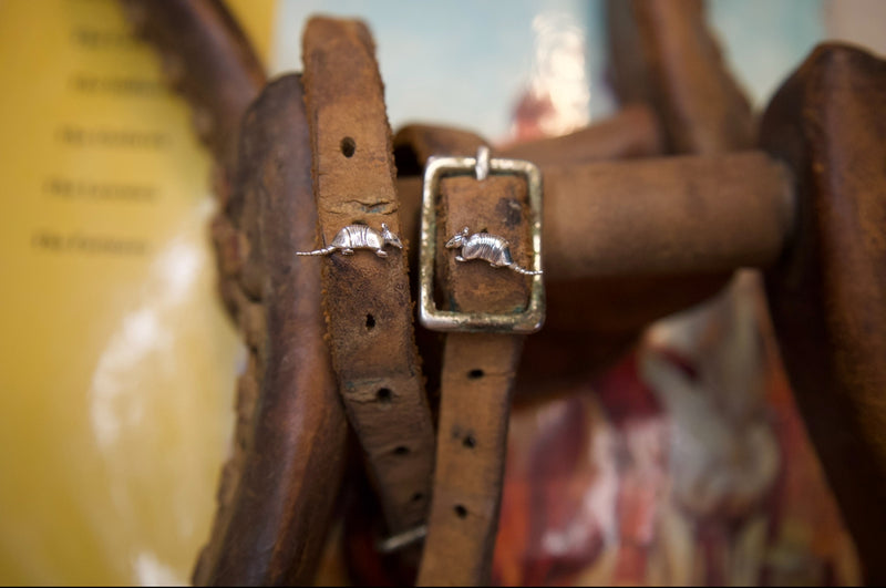 Western Sterling Silver Earrings